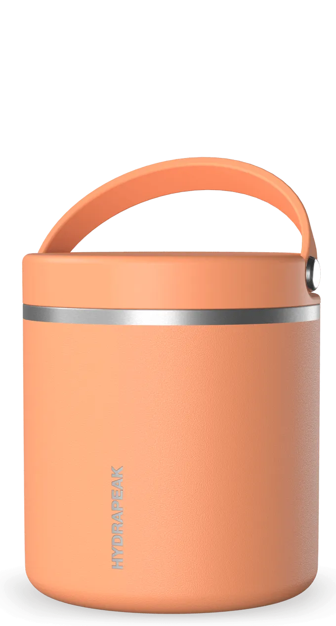 25oz Thermos Food Jar