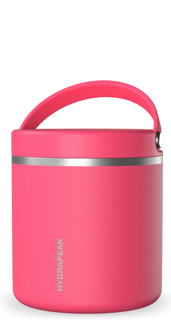 25oz Thermos Food Jar