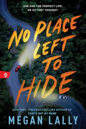 No Place Left to Hide Paperback  January 7, 2025